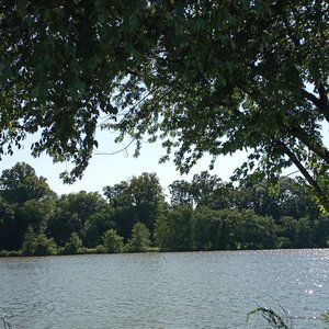 Meet your Posher, Rochelle